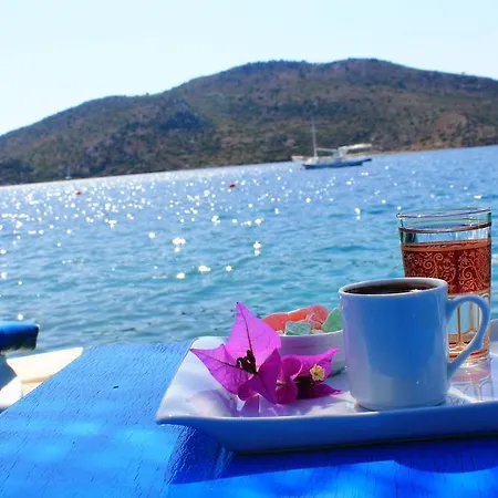 Отель Bozburun Aphrodite Beach & Hotel 3*