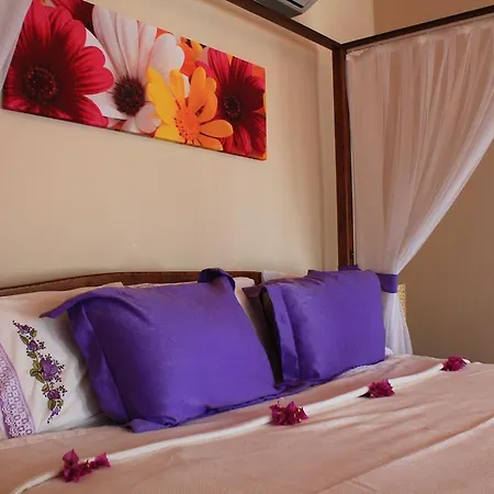 호텔 Bozburun Aphrodite Beach & Hotel 3*