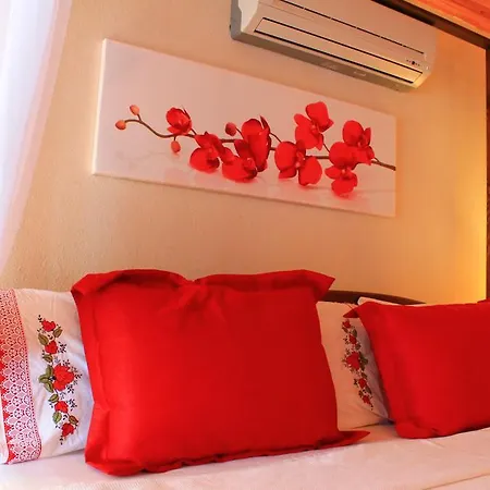 ホテル Bozburun Aphrodite Beach & Hotel