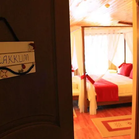 ホテル Bozburun Aphrodite Beach & Hotel